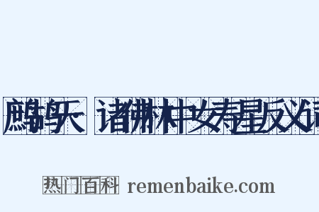 鹧鸪天·诸佛林中女寿星反义词是什么意思的图片